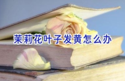 茉莉花叶子发黄怎么办