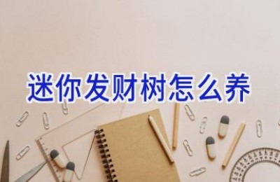 迷你发财树怎么养