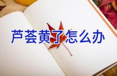 芦荟黄了怎么办