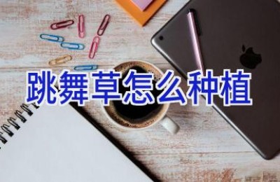 跳舞草怎么种植