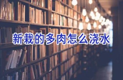 新栽的多肉怎么浇水