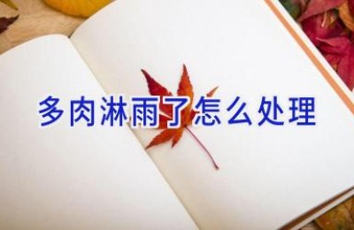 多肉淋雨了怎么处理