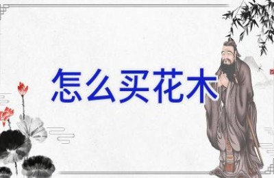 怎么买花木