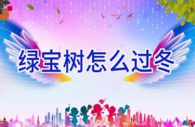 绿宝树怎么过冬