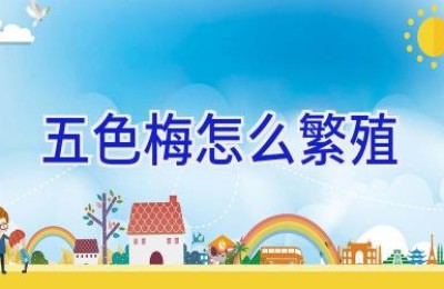 五色梅怎么繁殖