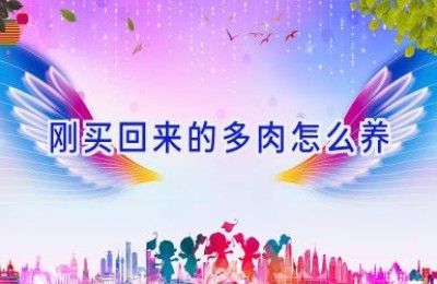 刚买回来的多肉怎么养