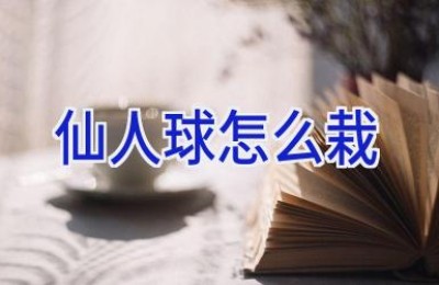 仙人球怎么栽