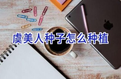 虞美人种子怎么种植
