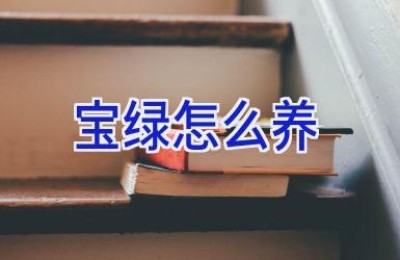 宝绿怎么养