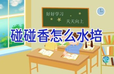 碰碰香怎么水培