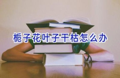 栀子花叶子干枯怎么办