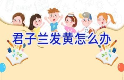君子兰发黄怎么办