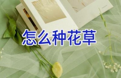 怎么种花草