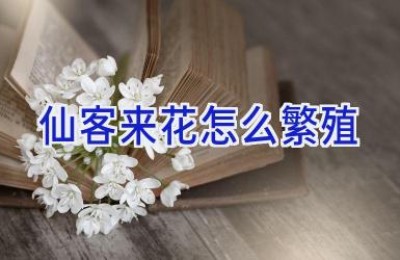 仙客来花怎么繁殖