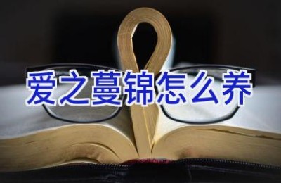 爱之蔓锦怎么养