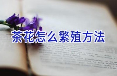 茶花怎么繁殖方法