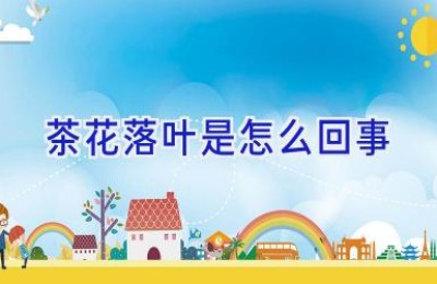 茶花落叶是怎么回事
