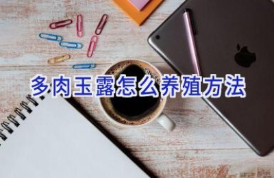 多肉玉露怎么养殖方法