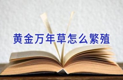 黄金万年草怎么繁殖