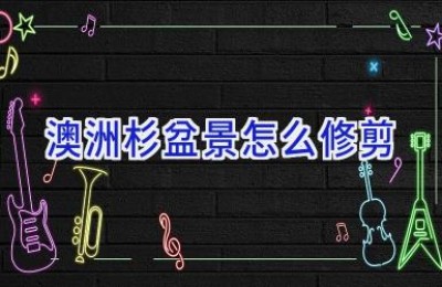 澳洲杉盆景怎么修剪