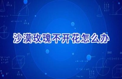 沙漠玫瑰不开花怎么办