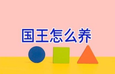 国王怎么养