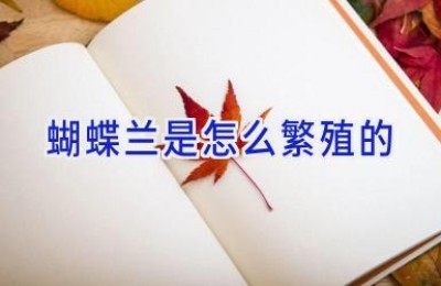 蝴蝶兰是怎么繁殖的