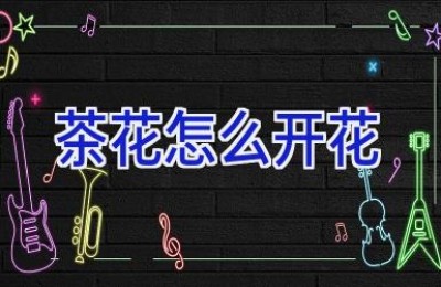 茶花怎么开花