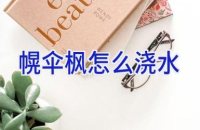 幌伞枫怎么浇水