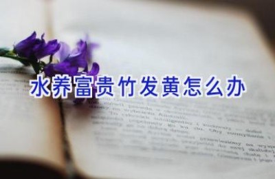 水养富贵竹发黄怎么办