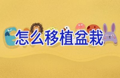 怎么移植盆栽