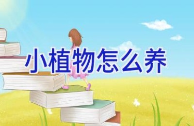 小植物怎么养