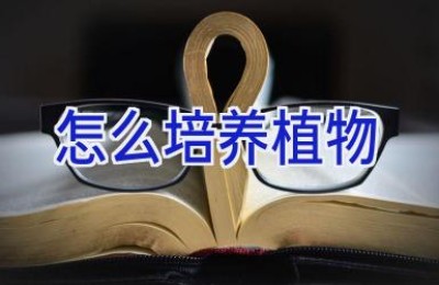 怎么培养植物
