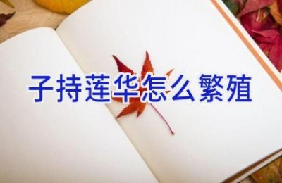 子持莲华怎么繁殖