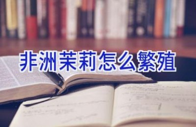 非洲茉莉怎么繁殖