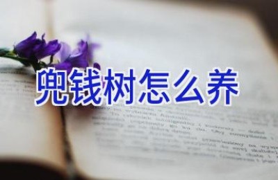 兜钱树怎么养