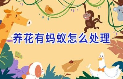 养花有蚂蚁怎么处理