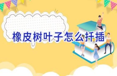 橡皮树叶子怎么扦插