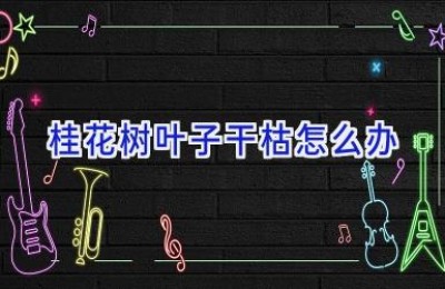 桂花树叶子干枯怎么办