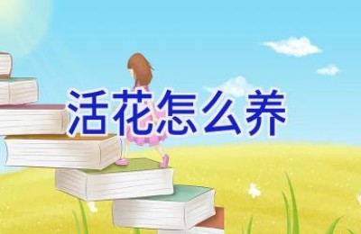 活花怎么养