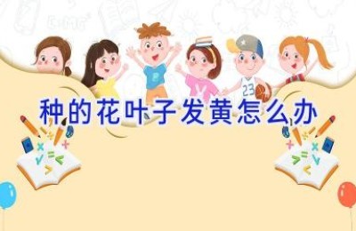 种的花叶子发黄怎么办