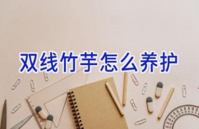 双线竹芋怎么养护