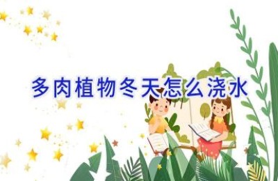 多肉植物冬天怎么浇水