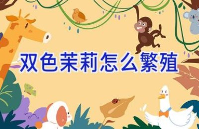 双色茉莉怎么繁殖