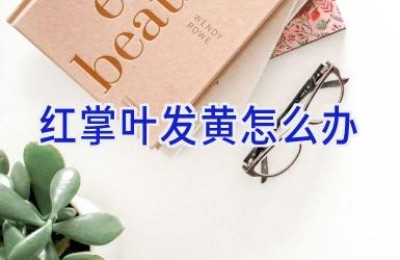 红掌叶发黄怎么办