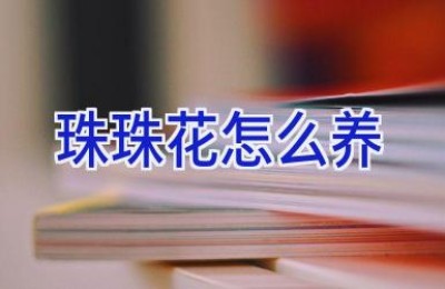 珠珠花怎么养
