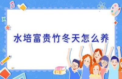 水培富贵竹冬天怎么养