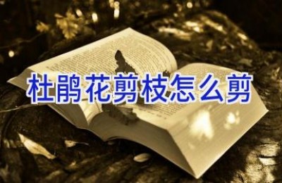 杜鹃花剪枝怎么剪