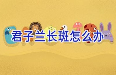 君子兰长斑怎么办