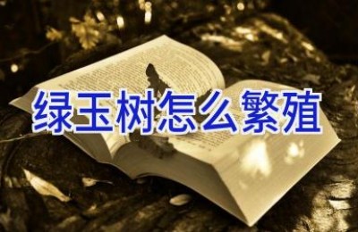 绿玉树怎么繁殖